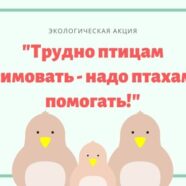 Трудно птицам зимовать — надо птахам помогать!